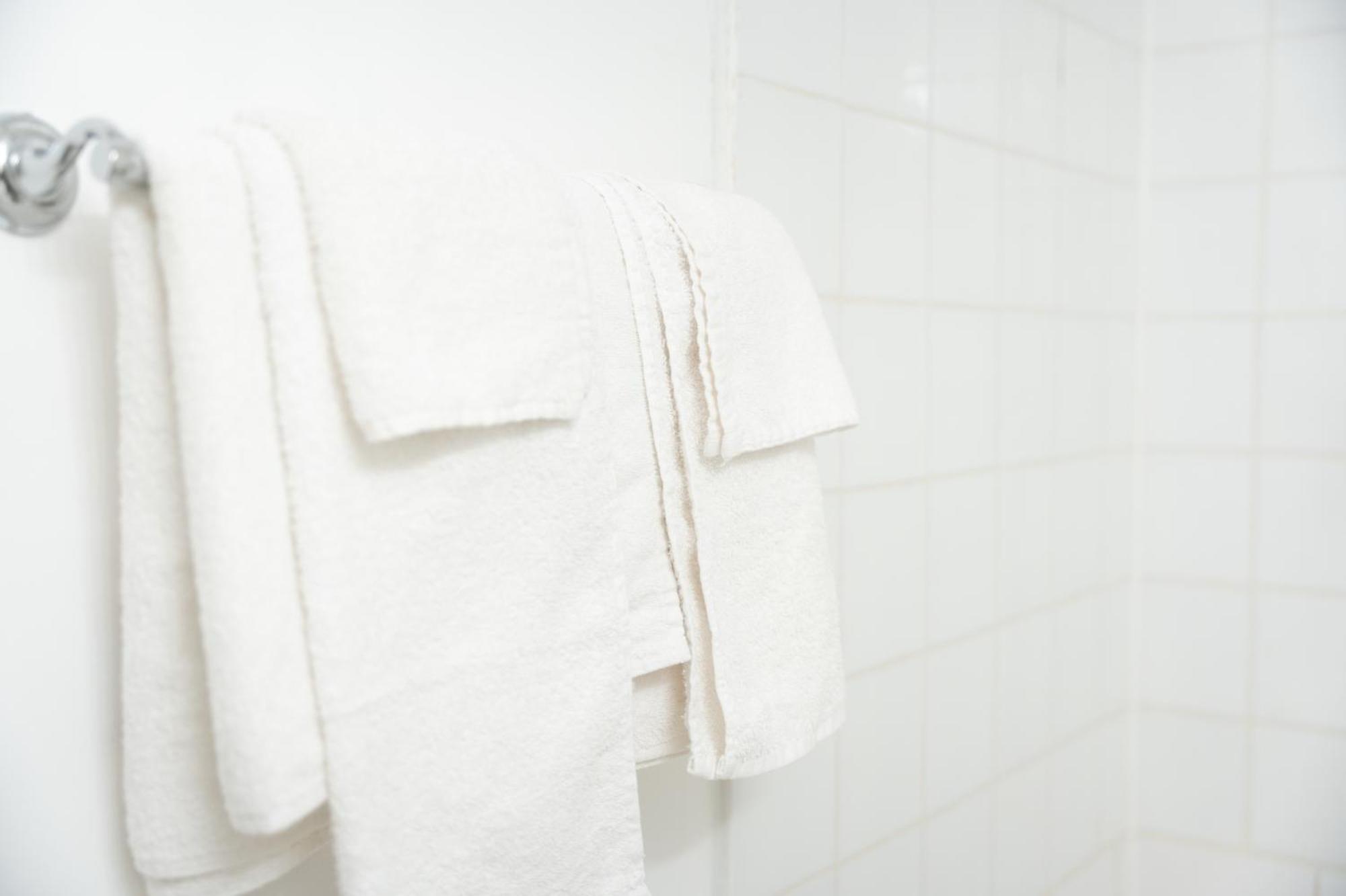 Midtown Inn ساسكاتون المظهر الخارجي الصورة